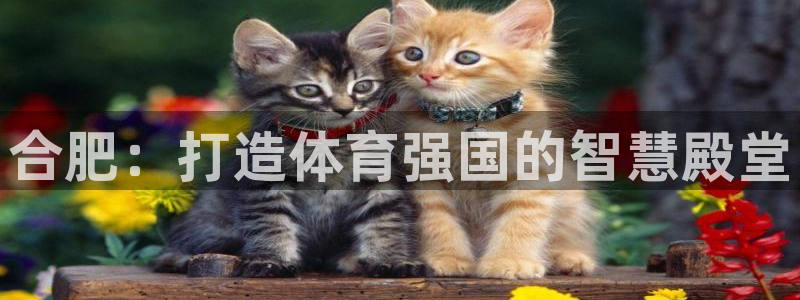 欧亿体育官方正版app集团官网首页网址：合肥：打造体