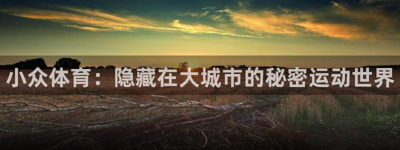 德国欧亿体育官方正版app集团：小众体育：隐藏在大城市的秘密