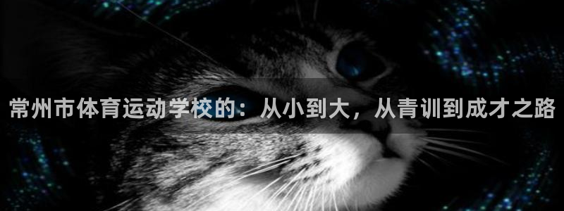 oety欧亿体育官网下载平台是正规平台吗