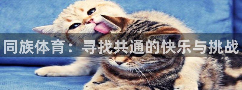oety欧亿体育官网下载平台：同族体育：寻找共通的快