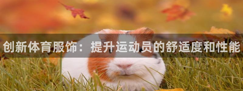 oety欧亿体育官网下载招商：创新体育服饰：提升运动