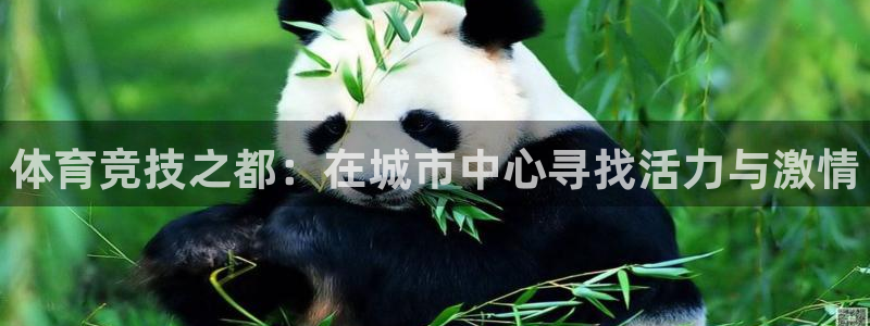 oety欧亿体育官网下载是干嘛的公司：体育竞技之都：