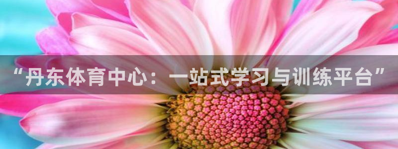 欧亿体育官方正版app新能源：“丹东体育中心：一站式