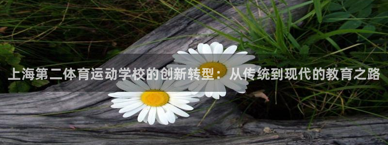 oety欧亿体育官网下载招商电话号码查询：上海第二体