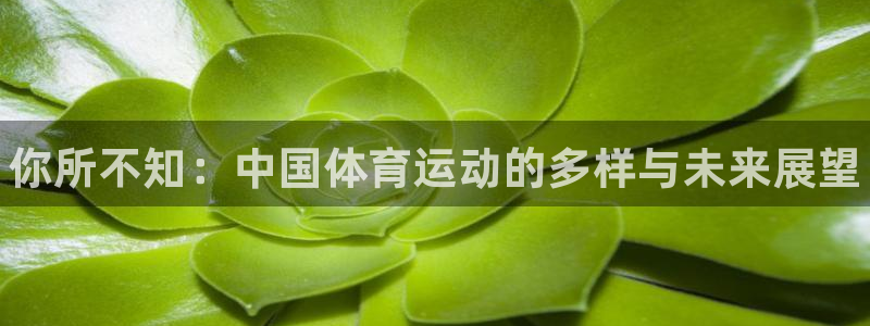 oety欧亿体育官网下载平台APP：你所不知：中国体育运动的