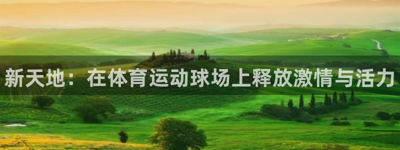 oety欧亿体育官网下载平台是正规平台吗安全吗