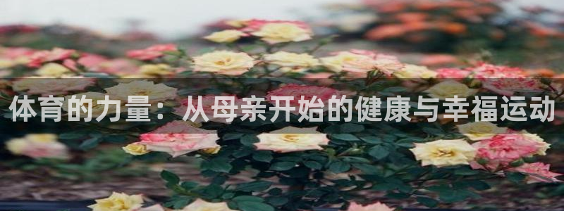 oety欧亿体育官网下载招商电话号码