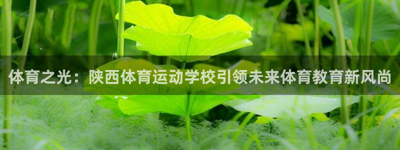 欧亿体育官方正版app娱乐代理怎么样：体育之光：陕西