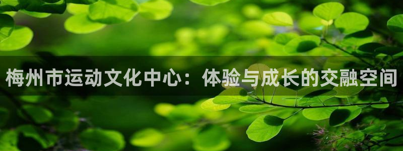 德国欧亿体育官方正版app集团：梅州市运动文化中心：