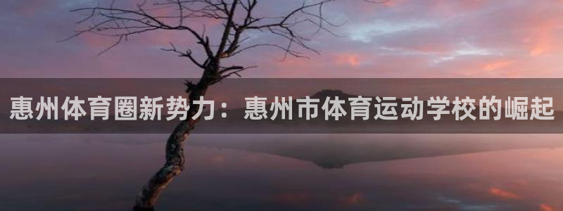 欧亿体育官方正版app集团：惠州体育圈新势力：惠州市体育运动