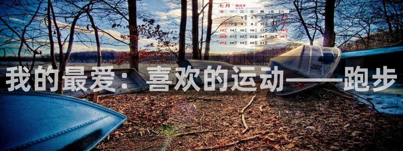 欧亿体育官方正版app集团logo：我的最爱：喜欢的运动——