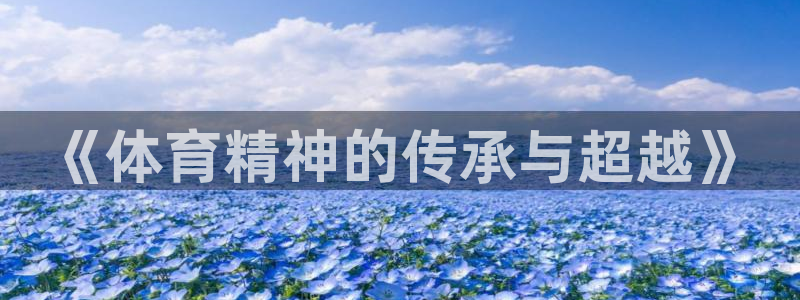 欧亿体育官方正版app代理：《体育精神的传承与超越》