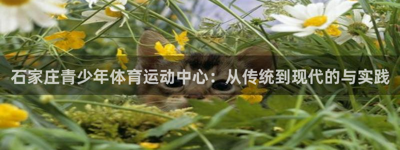 oety欧亿体育官网下载娱乐：石家庄青少年体育运动中心：从传